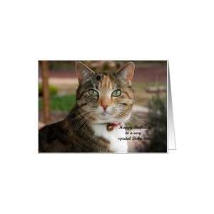  Babysitter Birthday   Tabby Cat Card Health & Personal 