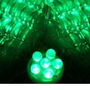  194 6 LED 2 Bulb Set  Color Green Automotive