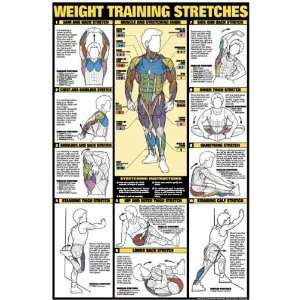  Weight Training Stretches