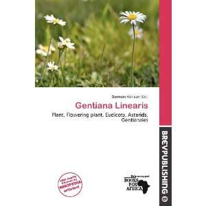  Gentiana Linearis (9786139537518) Germain Adriaan Books