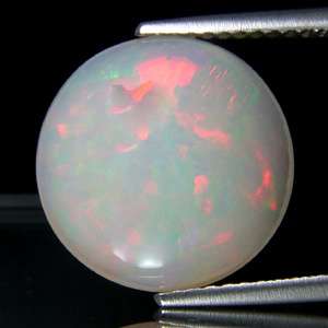 opal other info this is a private listing sign in to view your status 