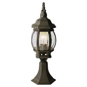  Trans Globe Lighting 4070 SWI pendant lantern