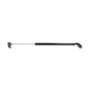  Strong Arm 4918 Hatch Lift Support Automotive