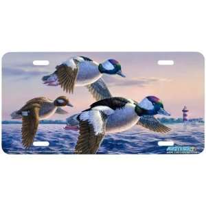 5293 Buffleheads License Plate Car Auto Novelty Front Tag by Randy 