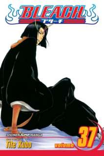 Bleach, Volume 37 Beauty Is So Solitary