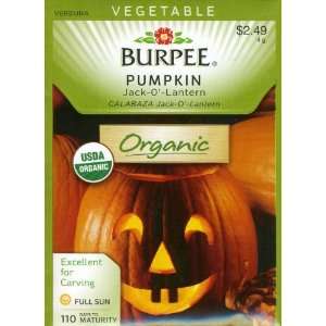  Burpee 60540 Organic Pumpkin Jack O Lantern Seed Packet 