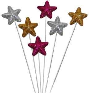    Tanday 6 pcs 13 Craft Star Picks (#6430)   Silver 