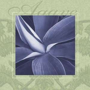  Dennis Dunton Agave 8x8 Poster Print