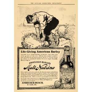  1909 Ad Barley Harvesting Anheuser Buschs Malt Nutrine 