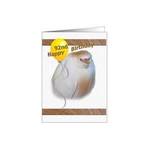  92nd Birthday Card with Cattle Egret Card Toys & Games