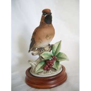  ANDREA by Sadek Cedar Waxwing #9386 Bird Figurine w 