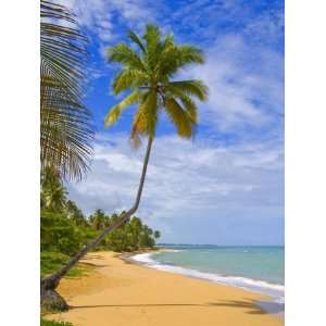  Tres Palmitas Beach, Puerto Rico, West Indies, Caribbean 