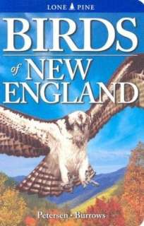 Birds of New England Roger Burrows