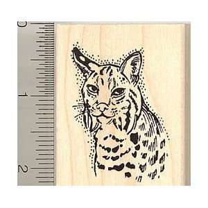  Bobcat Portrait Rubber Stamp Arts, Crafts & Sewing