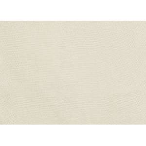  2161 Brianna in Alabaster by Pindler Fabric