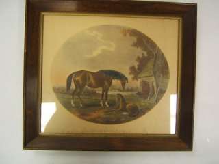 Vintage Framed Print Foal with Dam Plate 1 RW  