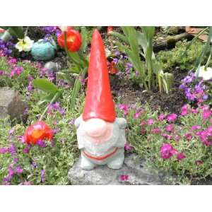  Gnome Concrete Patio, Lawn & Garden