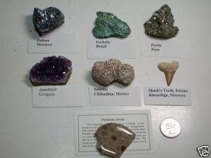 Minerals 2 Fossils from the World Over  
