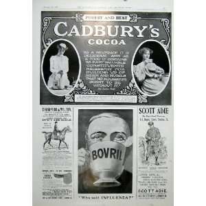  Cadburys Cocoa Builds Brain & Muscle 1904 Advert