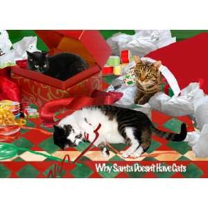 Why Santa Doesnt Have a Cat Christmas Card Set Health 