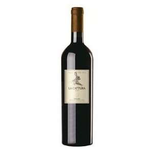  2009 Castellani Cattura 750ml Grocery & Gourmet Food