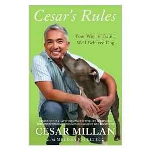  [CESARS RULES]Cesars Rules by Crown Archetype(Author){Cesar 