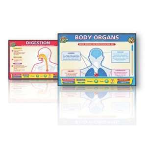  Body Organ Interactive Whiteboards Set Toys & Games