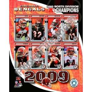  2009 Cincinnati Bengals AFC North Divison Champions 