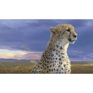 Daniel Smith   African Tempest   Cheetah Artists Proof  