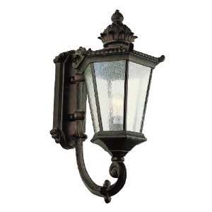 TransGlobe Lighting Outdoor 5132 1 Lt Up Scroll Arm Wall Burnished 