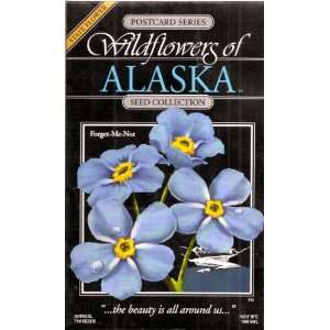  Wildflowers of Alaska FORGET ME NOT Seed Postcard 
