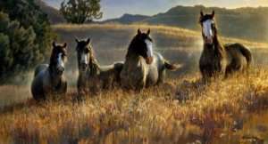 Amazing Grays III by Nancy Glazier Pinto Horses Print  