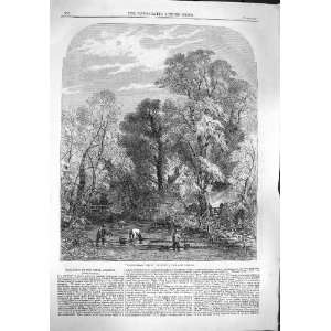  1861 AGRICULTURE WATERCRESS GATHERING RIVER READ PRINT 