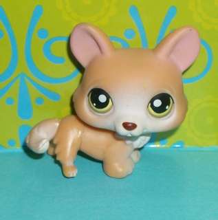 Littlest Pet Shop~#183 TAN WELSH CORGI FOX PUPPY DOG~N168 LPS  