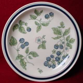 WEDGWOOD china BRAMBLE oven to table DINNER PLATE  