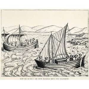 com 1907 Wood Engraving Walrus Marine Mammals Ship Expedition Arctic 
