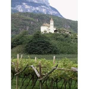  and Vines at Missiano, Caldero Wine District, Bolzano, Alto Adige 
