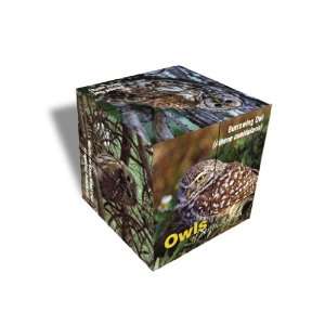   Cube Owls North America w/ Multiple Images, Great  