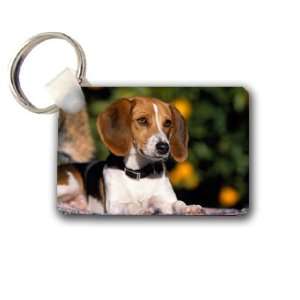  Beagle puppy cute Keychain Key Chain Great Unique Gift 