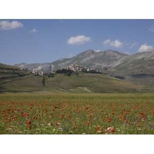  Castelluccio Di Norcia, Norcia, Umbria, Italy, Europe 