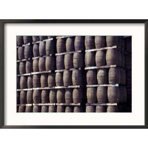 Bacardi Rum Ages in Oak Barrels, San Juan, Puerto Rico Places Framed 