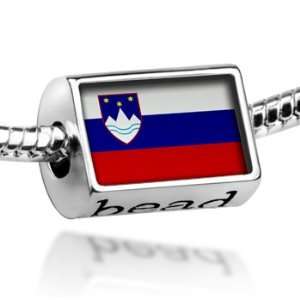  Beads Slovenia Flag   Pandora Charm & Bracelet 