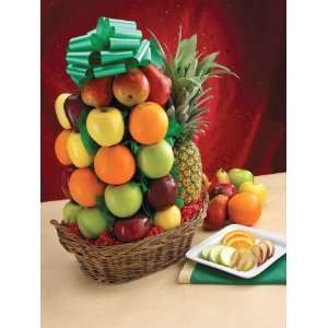 Fruit Lovers Excelsior Fruit Basket  Grocery & Gourmet 