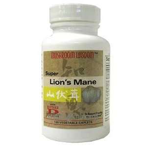  Maitake Mushroom   MAITAKE SUPER LIONS MANE TB120 Health 