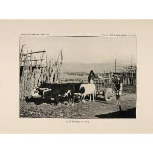   Wagon Cattle Yoke 1879   Original Halftone Print