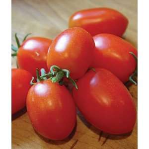  Tomato, Viva Italia Hybrid 1 Pkt. (30 seeds) Patio, Lawn 
