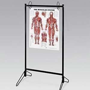  Anatomical Chart Company Portable Chart Stand   Model 9880 