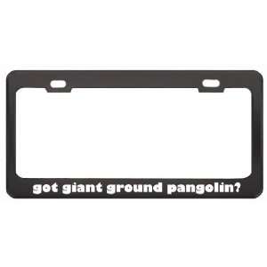Got Giant Ground Pangolin? Animals Pets Black Metal License Plate 