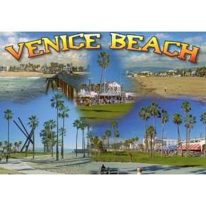 GREETINGS FROM VENICE BEACH, CALIFORNIA POSTCARD T 791   from Hibiscus 