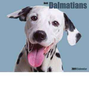  Dalmatians 2011 Wall Calendar